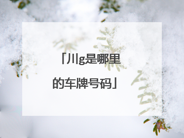 川g是哪里的车牌号码
