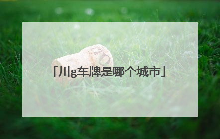 川g车牌是哪个城市