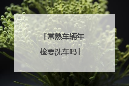 常熟车辆年检要洗车吗