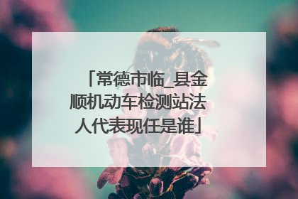 常德市临_县金顺机动车检测站法人代表现任是谁
