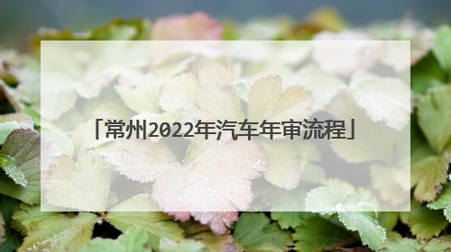 常州2022年汽车年审流程