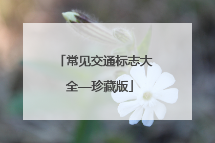 常见交通标志大全——珍藏版