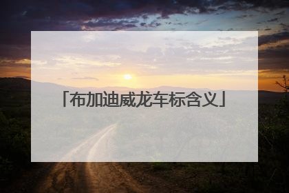 布加迪威龙车标含义
