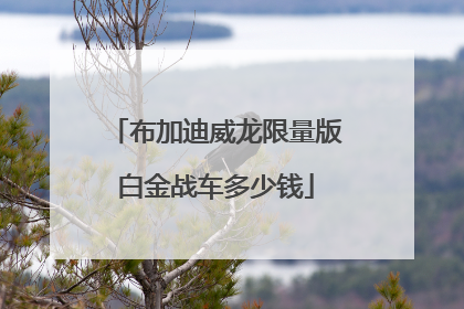 布加迪威龙限量版白金战车多少钱