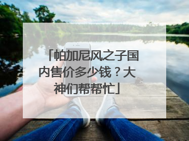 帕加尼风之子国内售价多少钱？大神们帮帮忙