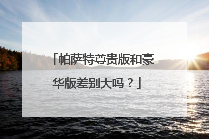 帕萨特尊贵版和豪华版差别大吗？