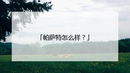 帕萨特怎么样？