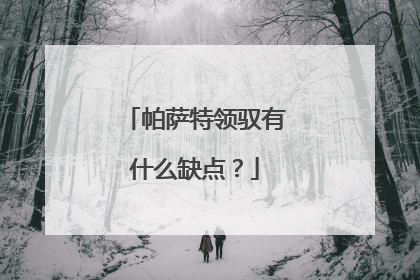 帕萨特领驭有什么缺点？
