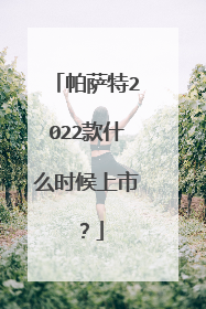 帕萨特2022款什么时候上市？