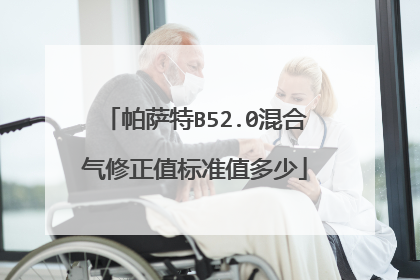 帕萨特B52.0混合气修正值标准值多少