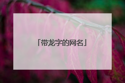 带龙字的网名