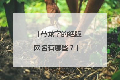带龙字的绝版网名有哪些？