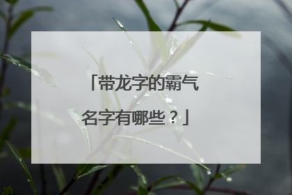 带龙字的霸气名字有哪些？