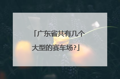 广东省共有几个大型的赛车场?