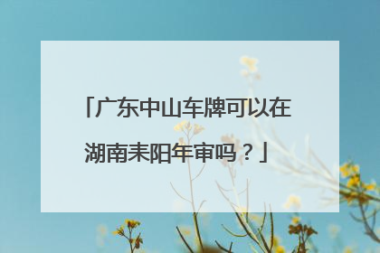 广东中山车牌可以在湖南耒阳年审吗？