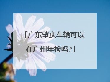 广东肇庆车辆可以在广州年检吗?