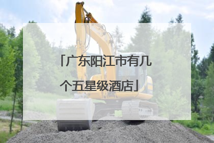 广东阳江市有几个五星级酒店