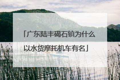 广东陆丰碣石镇为什么以水货摩托机车有名