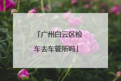 广州白云区检车去车管所吗