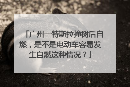 广州一特斯拉撞树后自燃，是不是电动车容易发生自燃这种情况？