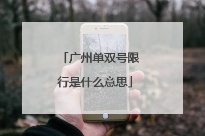 广州单双号限行是什么意思
