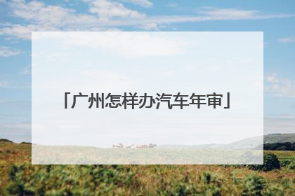 广州怎样办汽车年审