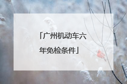 广州机动车六年免检条件