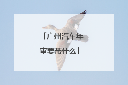 广州汽车年审要带什么
