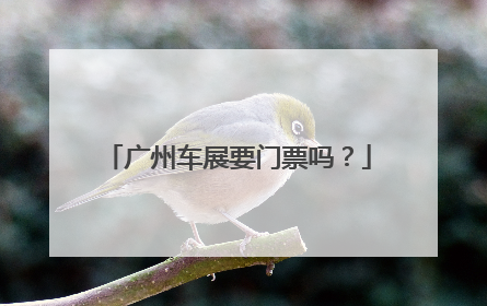 广州车展要门票吗？