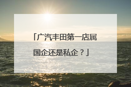 广汽丰田第一店属国企还是私企？