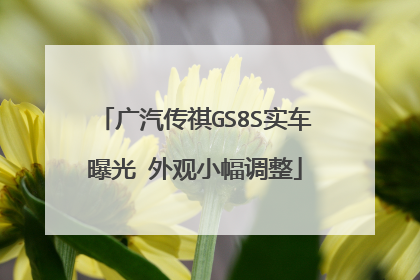 广汽传祺GS8S实车曝光 外观小幅调整