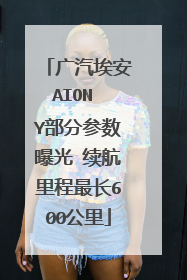 广汽埃安AION Y部分参数曝光 续航里程最长600公里