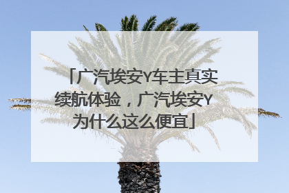 广汽埃安Y车主真实续航体验，广汽埃安Y为什么这么便宜