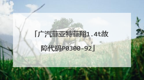 广汽菲亚特菲翔1.4t故障代码P0300-92