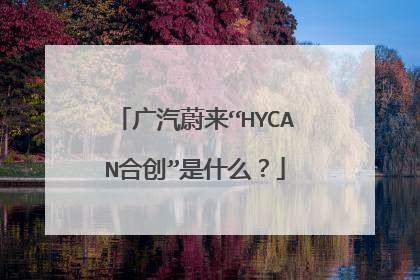 广汽蔚来“HYCAN合创”是什么？