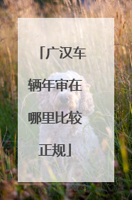 广汉车辆年审在哪里比较正规