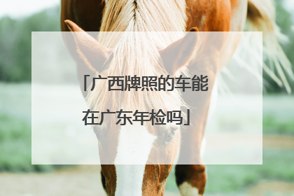 广西牌照的车能在广东年检吗