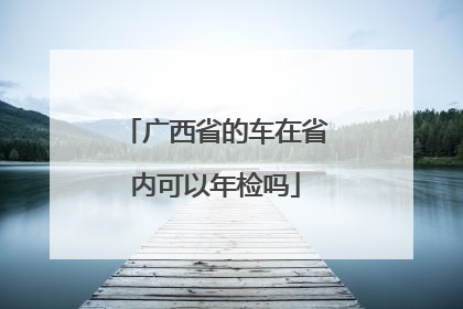 广西省的车在省内可以年检吗
