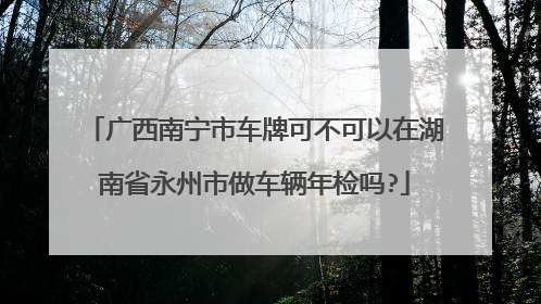 广西南宁市车牌可不可以在湖南省永州市做车辆年检吗?