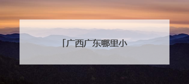 广西广东哪里小车年审最少钱?