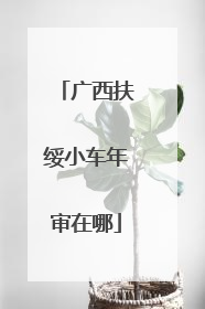 广西扶绥小车年审在哪