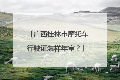 广西桂林市摩托车行驶证怎样年审？