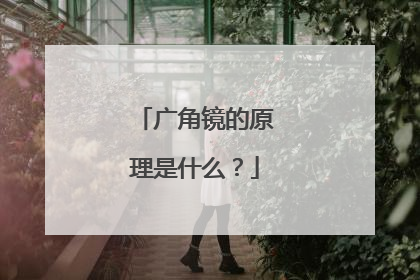 广角镜的原理是什么？