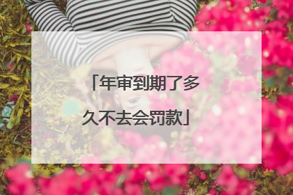 年审到期了多久不去会罚款