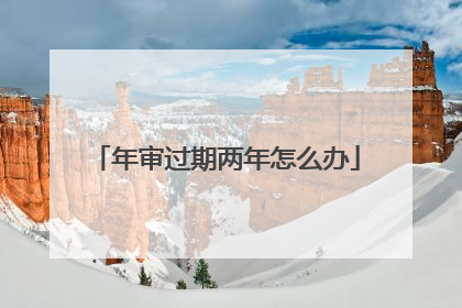 年审过期两年怎么办