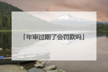 年审过期了会罚款吗