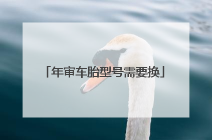 年审车胎型号需要换