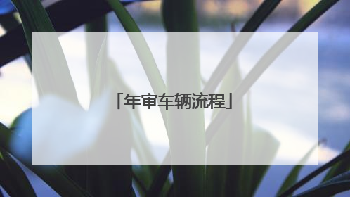 年审车辆流程