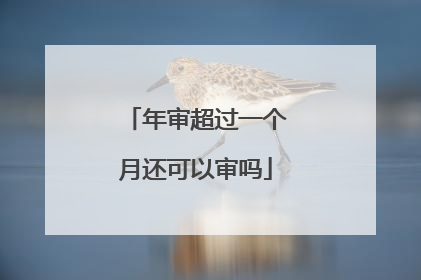 年审超过一个月还可以审吗