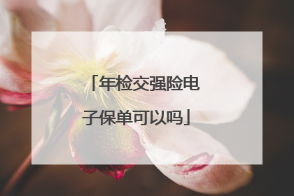 年检交强险电子保单可以吗